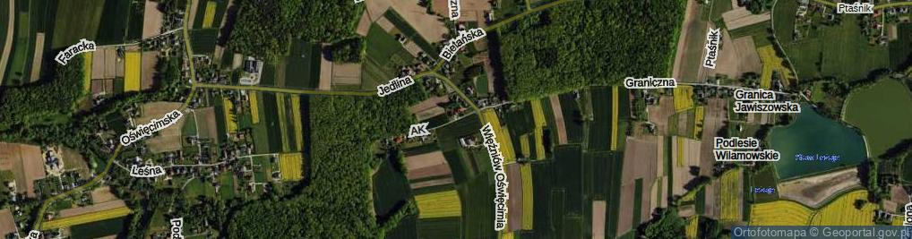 Zdjęcie satelitarne Armii Krajowej ul.