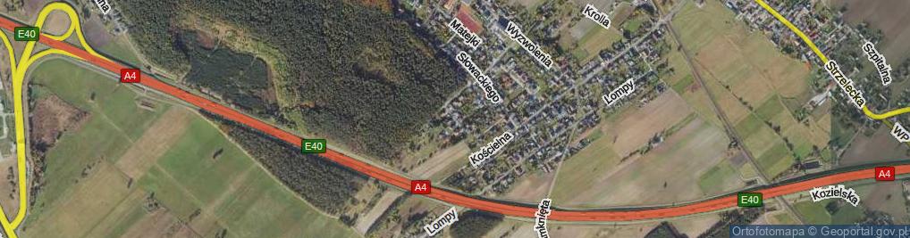 Zdjęcie satelitarne Asnyka Adama ul.