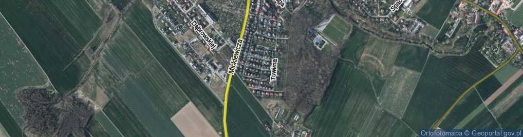 Zdjęcie satelitarne Asnyka Adama ul.