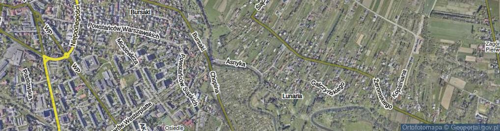 Zdjęcie satelitarne Asnyka Adama ul.