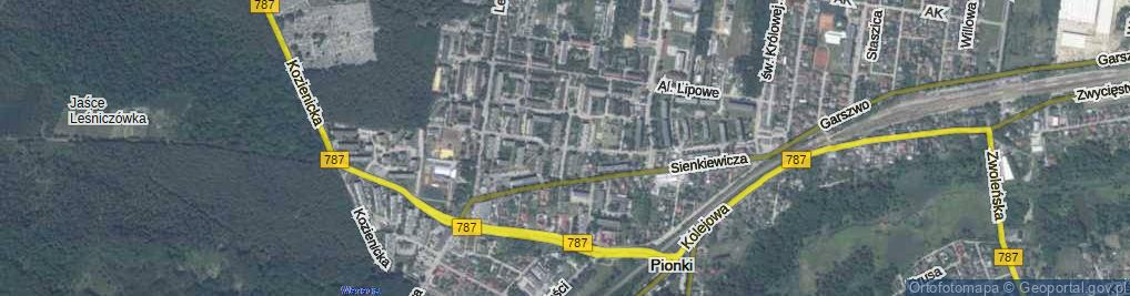 Zdjęcie satelitarne Asnyka Adama ul.