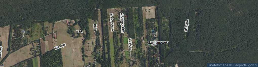 Zdjęcie satelitarne Asi i Alka ul.