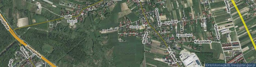 Zdjęcie satelitarne Azaliowa ul.