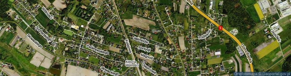 Zdjęcie satelitarne Azalii ul.