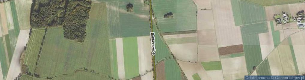 Zdjęcie satelitarne Baldwinowice ul.