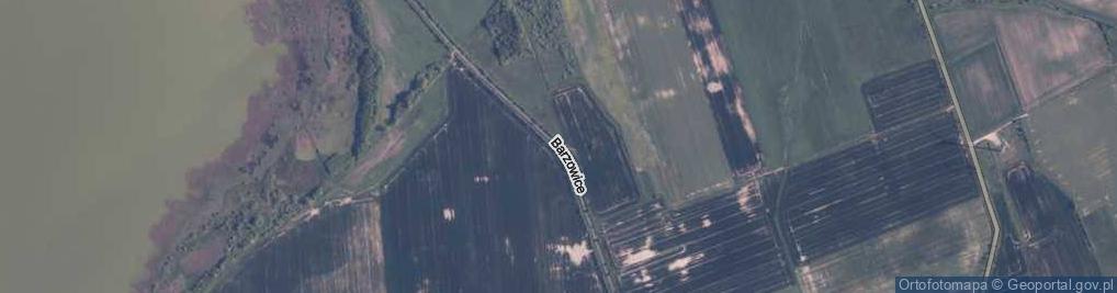 Zdjęcie satelitarne Barzowice ul.