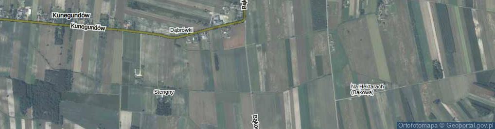 Zdjęcie satelitarne Bąkowa ul.