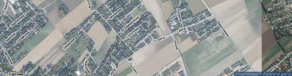 Zdjęcie satelitarne Bananowa ul.