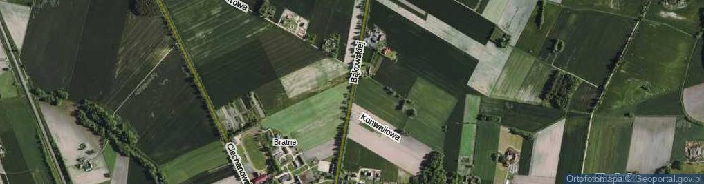 Zdjęcie satelitarne Bąkowskiej Aleksandry ul.