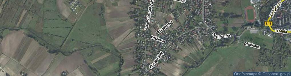 Zdjęcie satelitarne Batalionów Chłopskich ul.