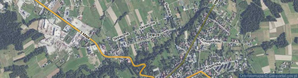 Zdjęcie satelitarne Batalionów Chłopskich ul.