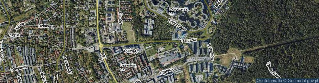 Zdjęcie satelitarne Bażantów ul.