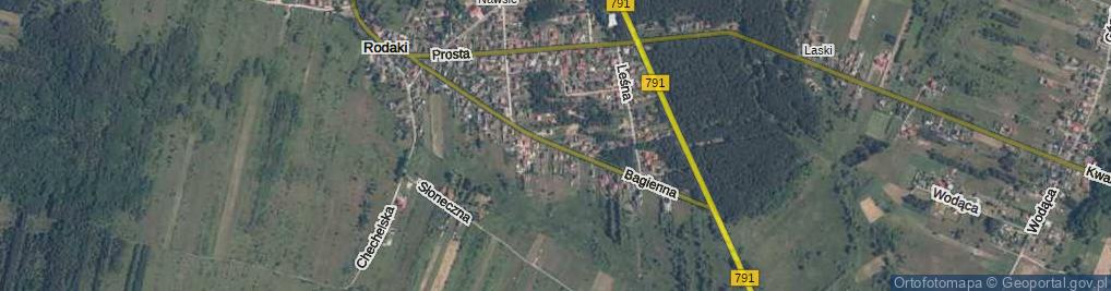 Zdjęcie satelitarne Bagienna ul.