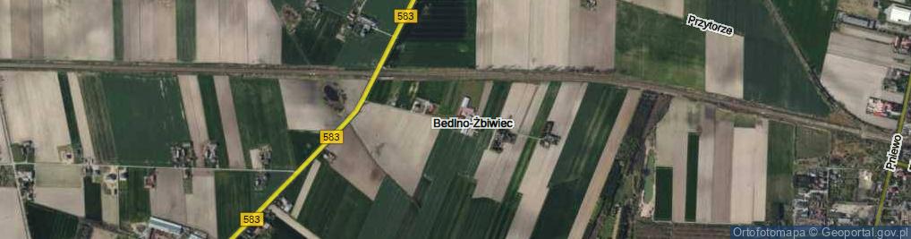 Zdjęcie satelitarne Bedlno-Żbiwiec ul.