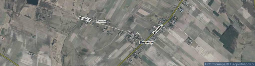 Zdjęcie satelitarne Bestwiny ul.