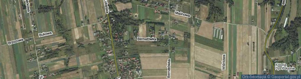 Zdjęcie satelitarne Bernatówka ul.