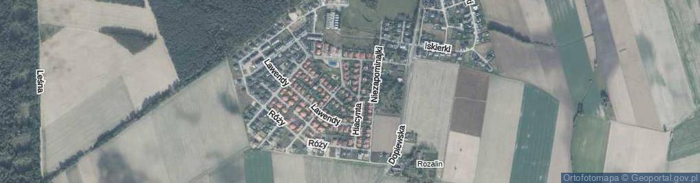 Zdjęcie satelitarne Begonii ul.