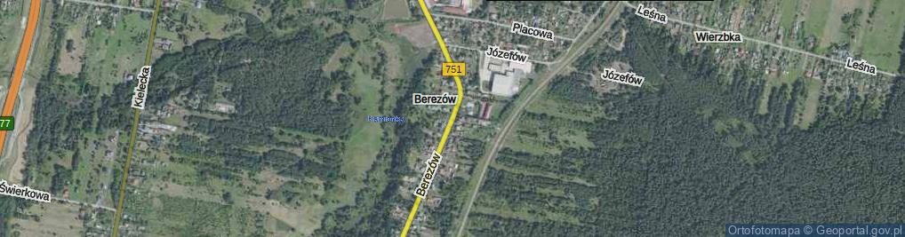 Zdjęcie satelitarne Berezów ul.
