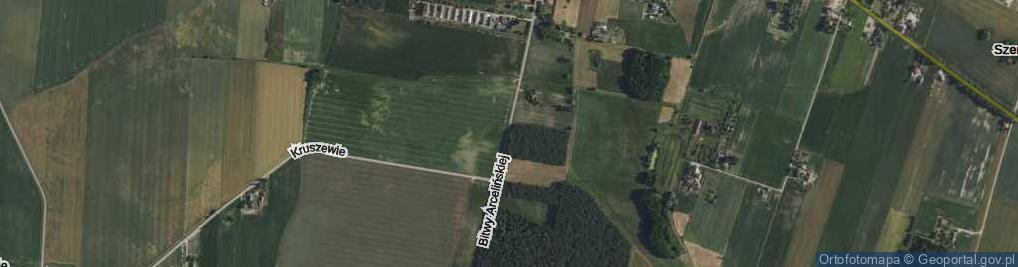 Zdjęcie satelitarne Bitwy Arcelińskiej ul.