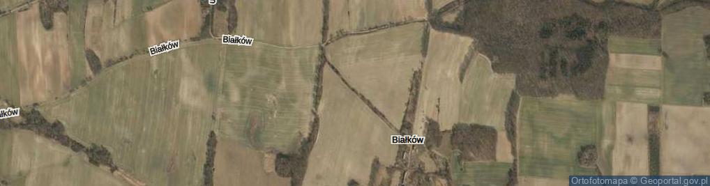 Zdjęcie satelitarne Białków ul.