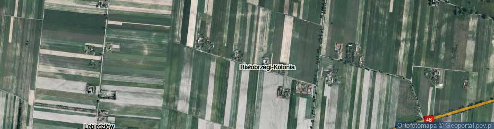 Zdjęcie satelitarne Białobrzegi-Kolonia ul.
