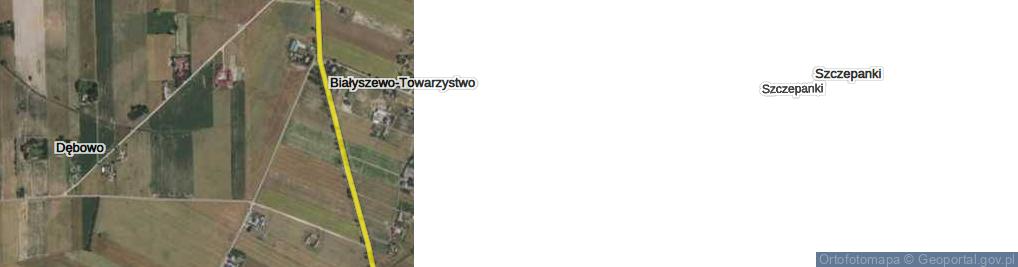 Zdjęcie satelitarne Białyszewo-Towarzystwo ul.