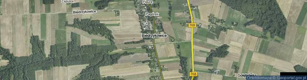 Zdjęcie satelitarne Biedrzykowice ul.