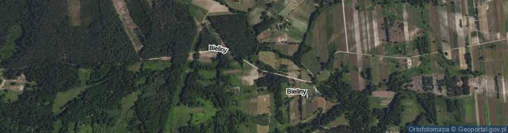 Zdjęcie satelitarne Bieliny ul.