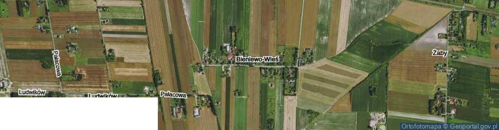 Zdjęcie satelitarne Bieniewo-Wieś ul.