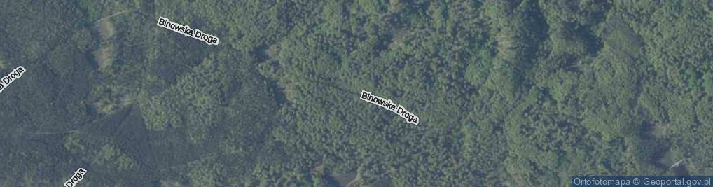 Zdjęcie satelitarne Binowska Droga ul.