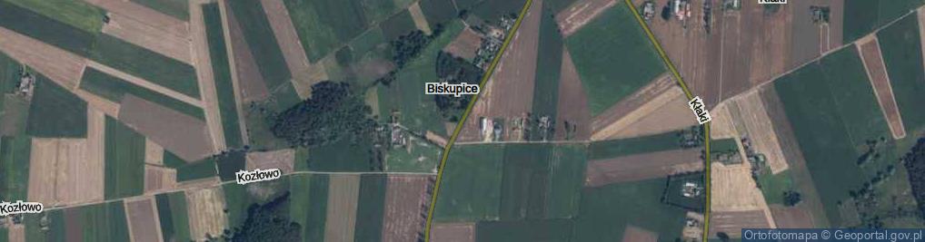 Zdjęcie satelitarne Biskupice ul.
