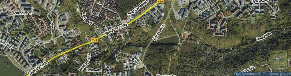 Zdjęcie satelitarne Białowieska ul.