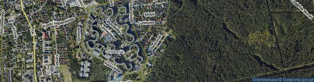 Zdjęcie satelitarne Biedronek ul.