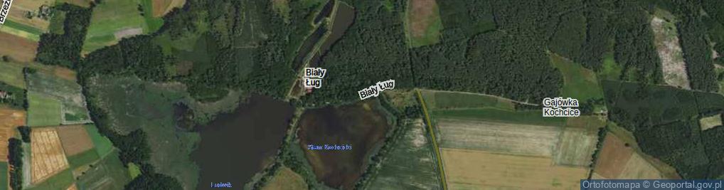 Zdjęcie satelitarne Biały Ług ul.