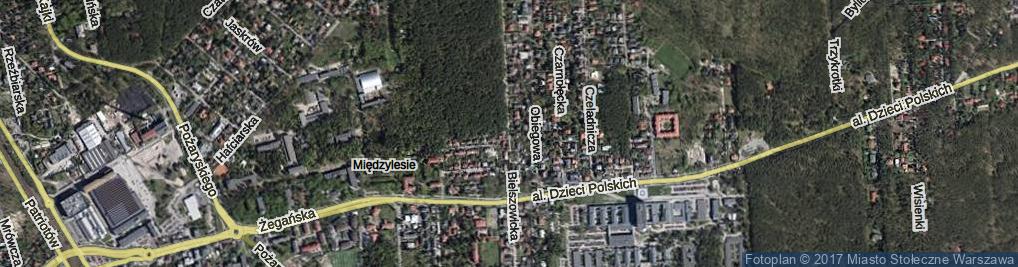 Zdjęcie satelitarne Bielszowicka ul.