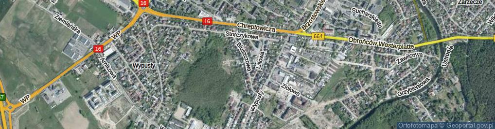 Zdjęcie satelitarne Bluszczowa ul.