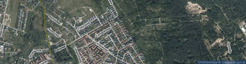 Zdjęcie satelitarne Bluszczowa ul.