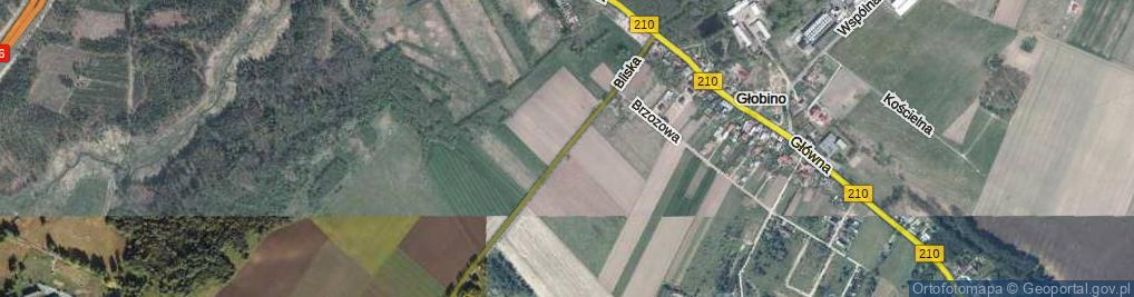 Zdjęcie satelitarne Bliska ul.