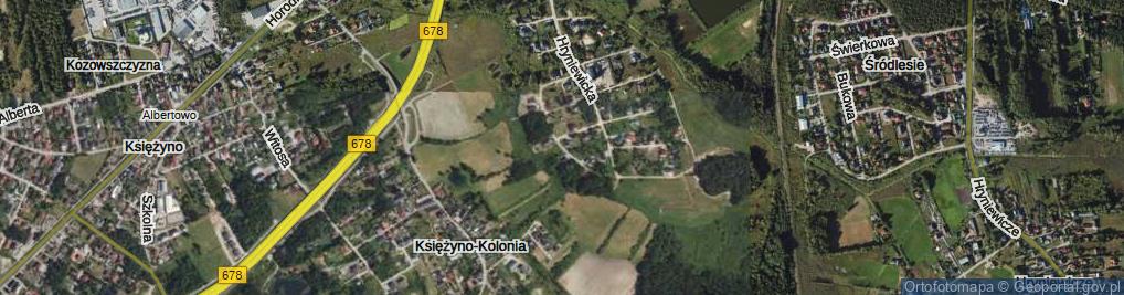 Zdjęcie satelitarne Bluszczowa ul.