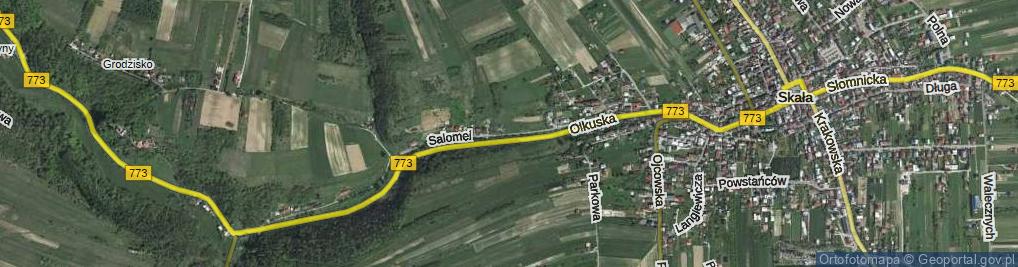 Zdjęcie satelitarne bł. Salomei ul.