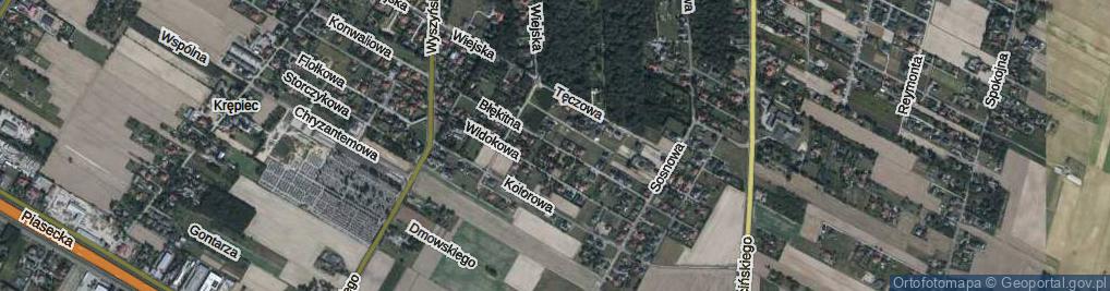 Zdjęcie satelitarne Błękitna ul.