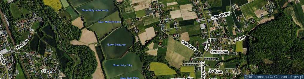 Zdjęcie satelitarne Borowików ul.