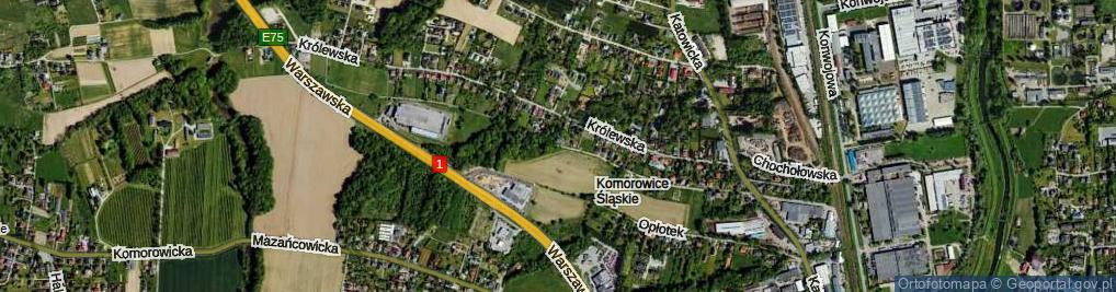 Zdjęcie satelitarne Botaniczna ul.