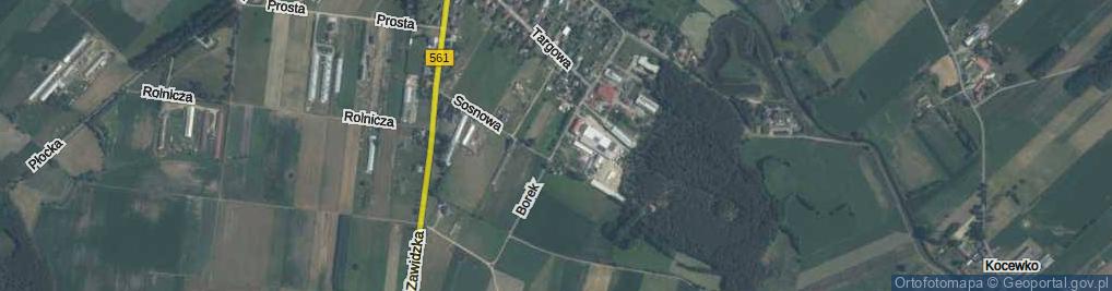 Zdjęcie satelitarne Borek ul.