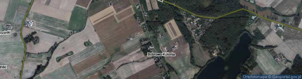 Zdjęcie satelitarne Bobrowo-Kolonia ul.