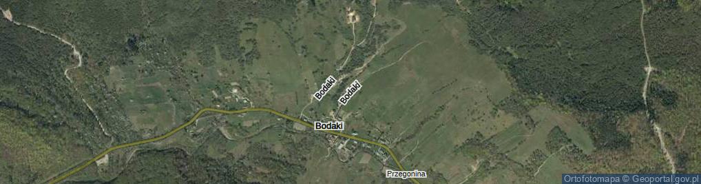 Zdjęcie satelitarne Bodaki ul.