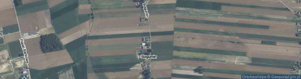 Zdjęcie satelitarne Bogumin ul.
