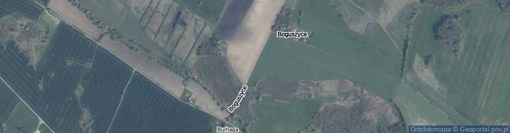 Zdjęcie satelitarne Boguszyce ul.