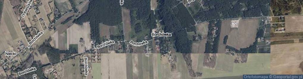 Zdjęcie satelitarne Borchówka ul.