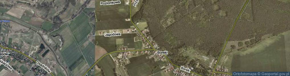 Zdjęcie satelitarne Borek ul.